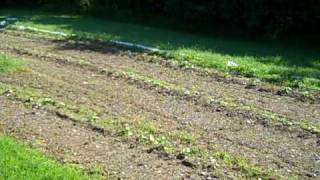 The Garden at the Round Barn Farm Waitsfield Vermont [upl. by Nitniuq]