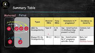 Hemolytic Disease of the Fetus and Newborn [upl. by Ekard515]