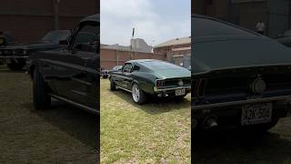 BULLITT bullitt automobile v8power americanmuscle classic v8 mustangclub mustang fast [upl. by Enoryt928]