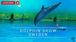 Never Seen Before Dolphin Show  Hope Dolphin Show Kolmården [upl. by Conias]