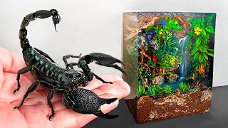 I Built a Rainforest For My Pet Scorpion [upl. by Larue]