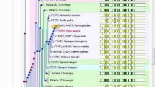 Dawkins Best Evidence Refuted [upl. by Seidler]