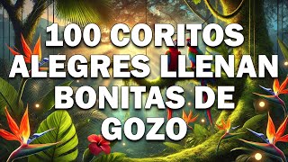 100 Coritos Alegres Llenan Bonitas De Gozo  Coros Pentecostales  Cadena De Coros Viejos [upl. by Radack]