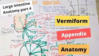 VERMIFORM APPENDIX ANATOMY  LARGE INTESTINE ANATOMY PART 4 [upl. by Aznecniv]