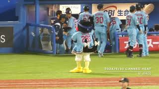 【交流戦2024】530：つばみ／We Are The Swallows [upl. by Chalmers356]