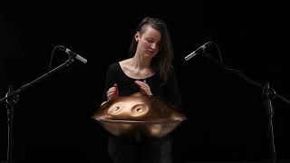 F2 Low Pygmy 13  Meridian Handpan [upl. by Charis]