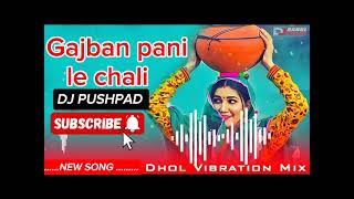 Gajban pani le Chali DJ PUSHPAD sapnachoudhary songs remixsong Pushpaddj subscribe 2025 [upl. by Alyahsat]