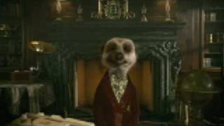 Adelphoi  Compare The Meerkat Commercial [upl. by Macy500]