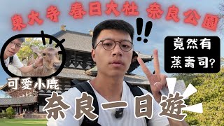 奈良一日遊😎超宏偉極震撼東大寺😱春日大社無限神社🤩到奈良公園做小鹿首領！竟然發現蒸嘅壽司？沿途發現極美公園 [upl. by Ylatan]