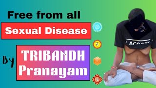 Tribandha PranayamFree from all types of sexual disease and digestive issues [upl. by Daffy]