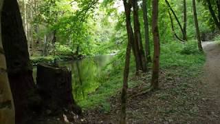 Naturparadies Gsteinigt  Arzberg im Fichtelgebirge [upl. by Adan]