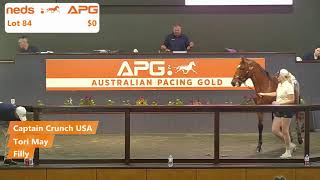 2024 Yearling Sales  Gold Coast [upl. by Teage]