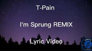 Tpain  Im sprung remix lyric video [upl. by Pretrice]