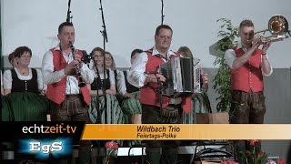 Wildbach Trio  Feiertags  Polka [upl. by Atreb]