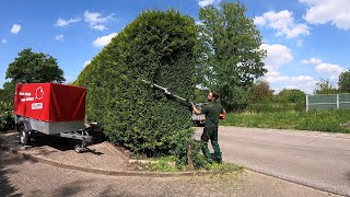 Trimming a large hedge of Thuja [upl. by Ahsinyd]