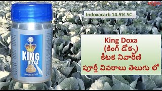 Indoxacarb 145 SC కీటక నివారిణి పూర్తీ వివరాలు తెలుగు లో  King Doxa కింగ్ డోక్స [upl. by Spector]