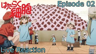 Live Reaction Hataraku Saibou Episode 2 [upl. by Nerahs]