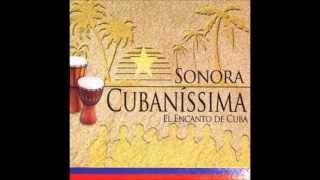 🔥CANTINERO DE CUBA por SONORA CUBANISSIMA  Salsa Premium [upl. by Mundford]