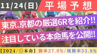 【平場競馬予想】20241124日 厳選6Rの本命馬を紹介！ [upl. by Trebleda407]