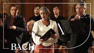 Bach  Cantata Wir danken dir BWV 29  Van Veldhoven  Netherlands Bach Society [upl. by Anawait]