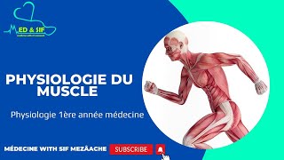 7 Physiologie du Muscle  Physiologie 1ére MED [upl. by Akemed]