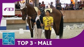 Top3 Male  Vaulting  Ermelo  FEI World Vaulting Championships for Juniors [upl. by Leynad]