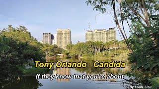 Tony Orlando and Dawn  CandidaLyrics [upl. by Eanad]