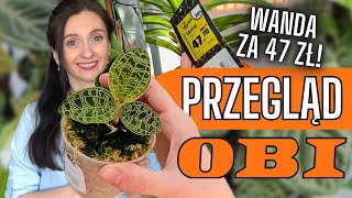 🛒Przegląd nowości OBI🧡 Roślinny VLOG 🌱 Gosia i Miłosz Vlog [upl. by Ruder]