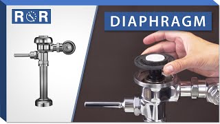 Sloan Regal Flushometer  Diaphragm  Repair and Replace [upl. by Hadwyn]