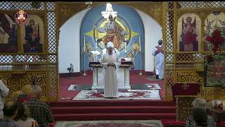 Saint Maurice Coptic Orthodox Church Live Broadcast  Channel 2 [upl. by Rimola]