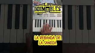 indomables korgm1 pianofacil cadereyta gruperasviejitas musica tropicalmusic [upl. by Eimak]