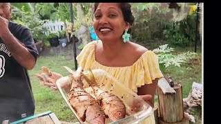 Fried Whole Yellowtail Snappers Conch Fritters Biganee Onion Pakodra Family Subscribers [upl. by Gaige215]