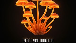 Colorful Raindrops  Psilocybe Dubstep [upl. by Hackathorn]