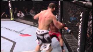 Wanderlei Silva Highlights  Ultimate Axe Murderer [upl. by Mickelson]