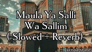 Maula Ya Salli Wa Sallim  slowed amp reverb [upl. by Rehc]