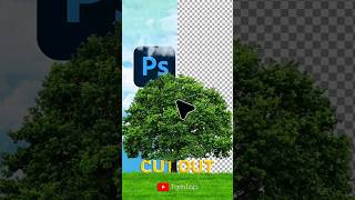 Cut Out Hair in 1 Minute with Photoshop । Photoshop Tips amp Tricks 2024 [upl. by Ryon]