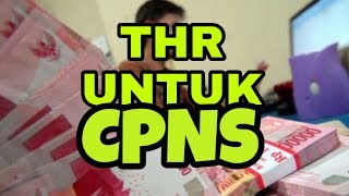 CPNS Dapat THR Gak Sih [upl. by Aushoj364]