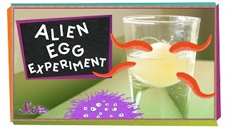 Alien Egg Experiment sciencegoals [upl. by Nomannic]