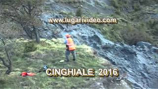 CINGHIALE 2016 Wildboar Hunting 2016 [upl. by Lorimer]