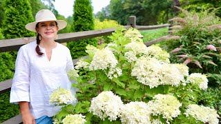 Bursting with Spectacular July Colors Berm Tour [upl. by Georgy]