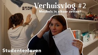 ZELF EEN KAST IN ELKAAR ZETTEN  Verhuisvlog 2 [upl. by Eustis]