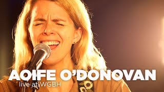 Aoife O’Donovan with string quartet – Live at WGBH [upl. by Divd]