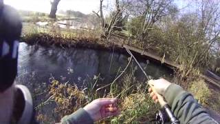 Trout Fishing at Avington Hampshire [upl. by Portwine]