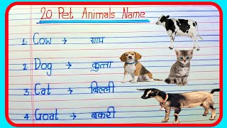 20 Pet Animals Name Hindi and English  Pet Animals Name  Domestic Animals Name  animals name 20 [upl. by Litnahs]