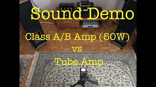 Lavardin ISX Reference vs Willsenton R8  Sound Demo 2 [upl. by Blinnie]