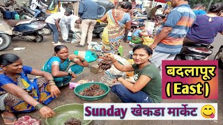 Sunday Special Menu Crabsखेकडा Market viral vaishaliingle1706 crabmaharashtra vlog ytviral [upl. by Ardnassac]