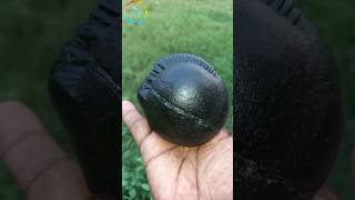 Shaligram  sri surya narayan shaligram shila 💐💐 shorts short shortsfeed [upl. by Pence281]