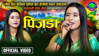 सुनिताको जीवनमा यस्तो पिडा  Pinjada  Sunita Budha Chhetri amp Gyanendra Shahi  New Ekal Song 2080 [upl. by Icyak]