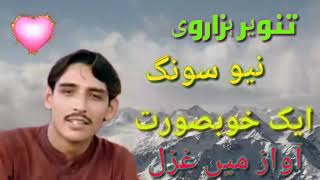 Tanveer Hazarvi new song تنویر ہزاروی نیا ریکارڈtanveerhazarvi [upl. by Ervin510]