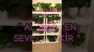 🔥Allah Teala’nın En sevdiği ZİKİRshortvideo allah zikir yaallahﷻ shortsvideo short trending [upl. by Einafets]